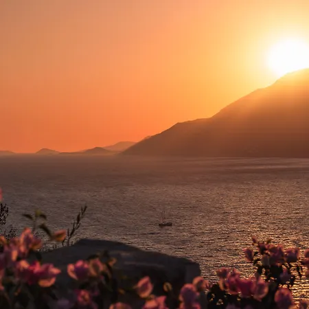 Ξενοδοχείο Guemues Yazar 3*