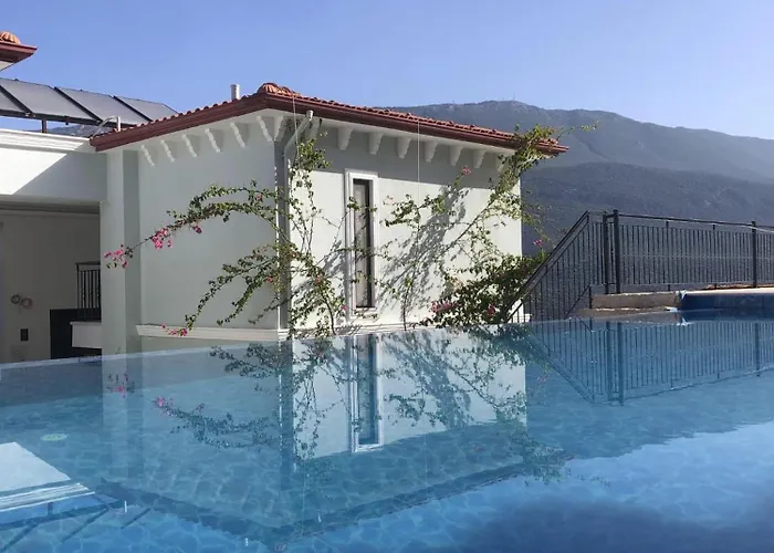 Guemues Yazar 카스