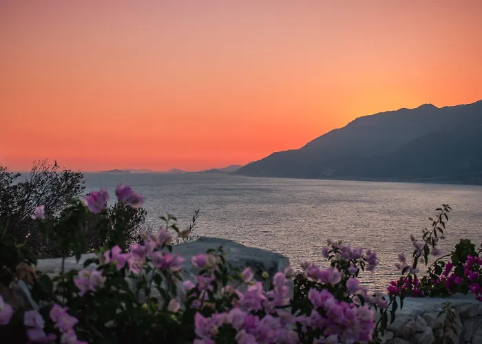 Guemues Yazar 호텔