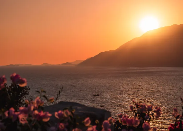 호텔 Guemues Yazar 3*